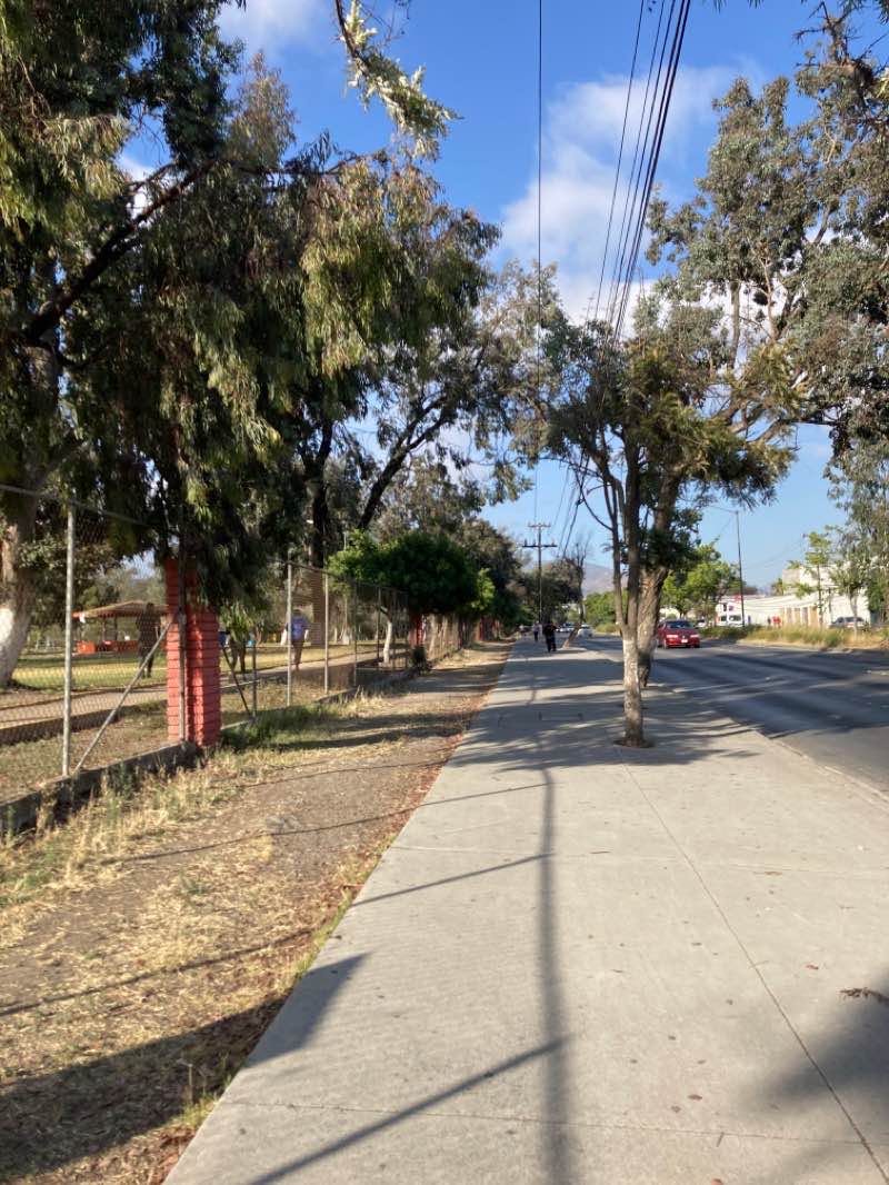 walking near me in Parque La Amistad in winter
