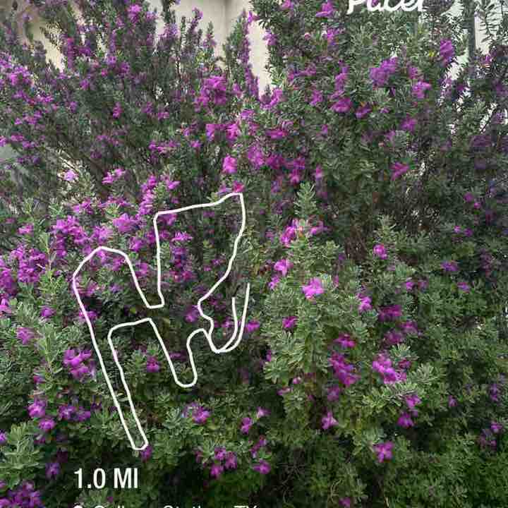 emileeclark01 post 1