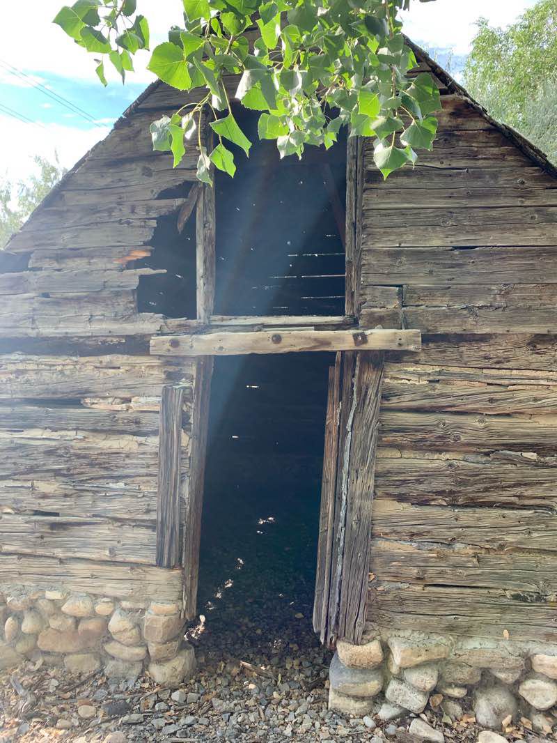 walking near me in Redwood Trailhead Park in winter