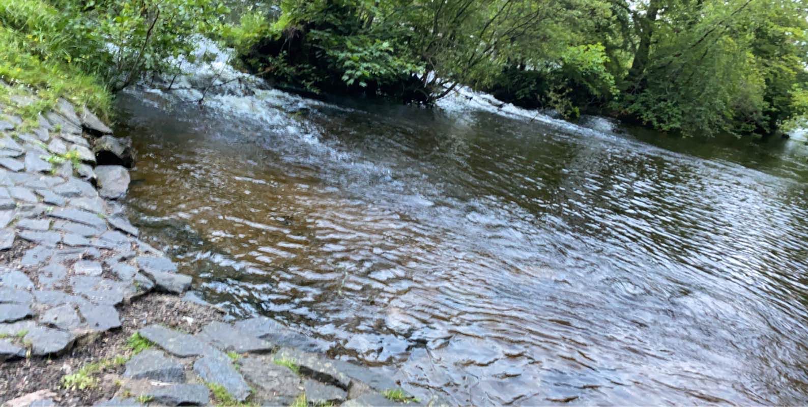 walking near me in Bellfield Park in winter
