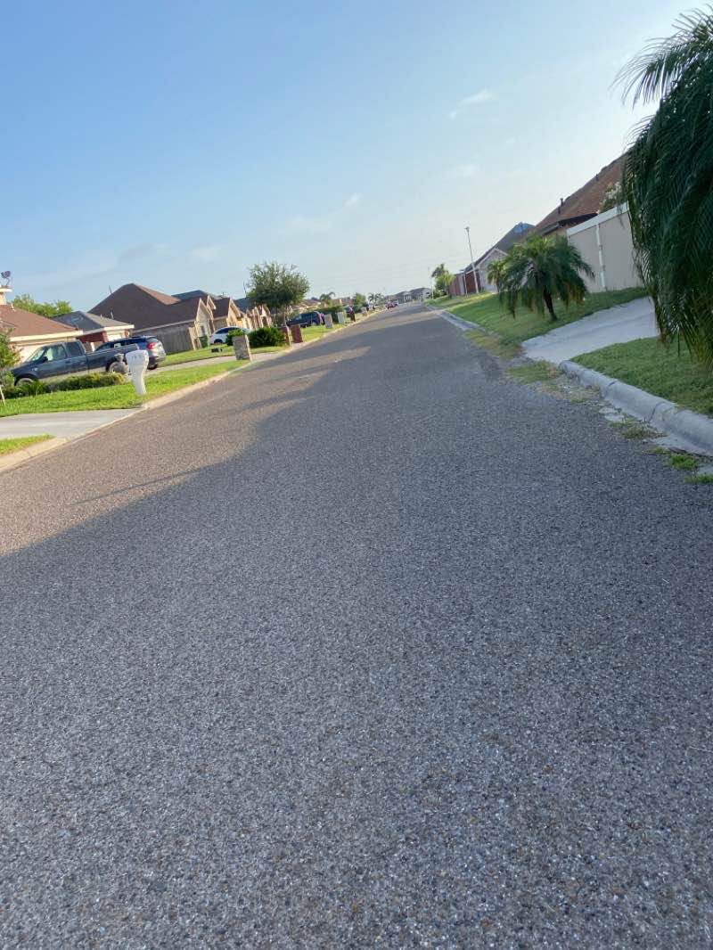 walking near me in Mirian Vale Municipal Park in winter