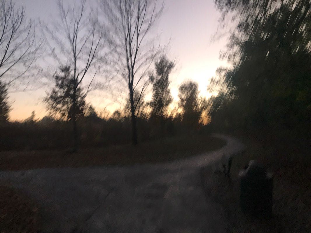 walking near me in O'Fallon City Park in winter