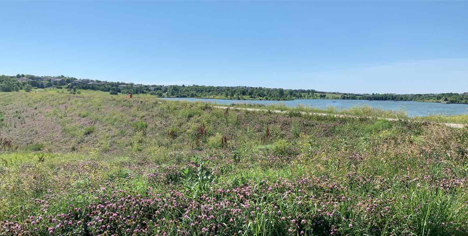 walking near me in Walnut Creek Recreation Area in winter