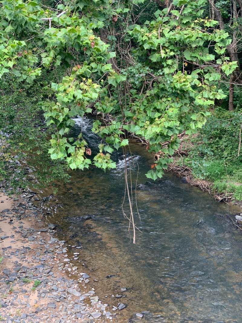 walking near me in Bollman Truss Bridge in winter