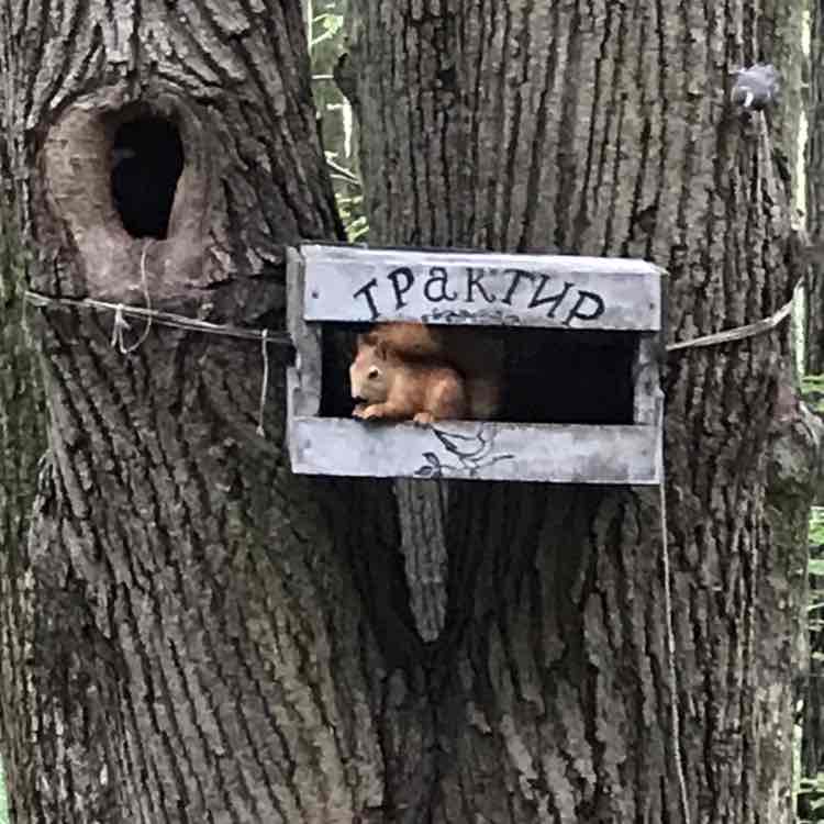 Анна Денежкина post 1