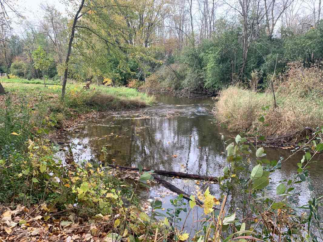 walking near me in Schoenlaufen Park in winter