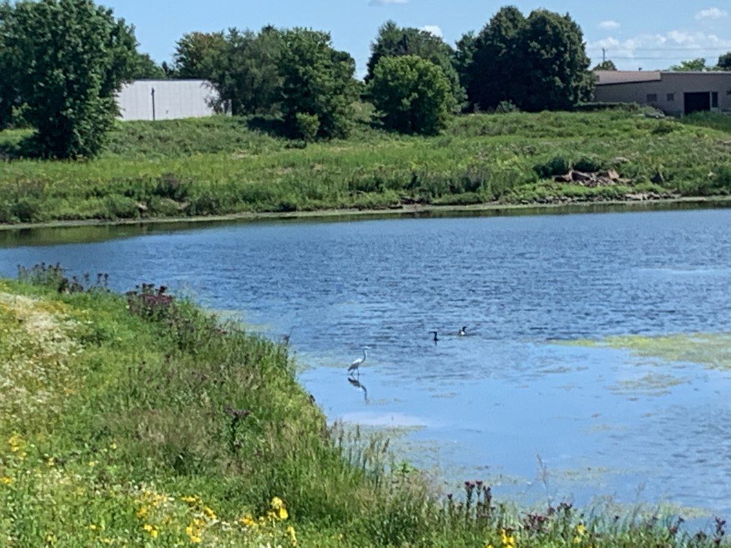 walking near me in Appleton Memorial Park in winter