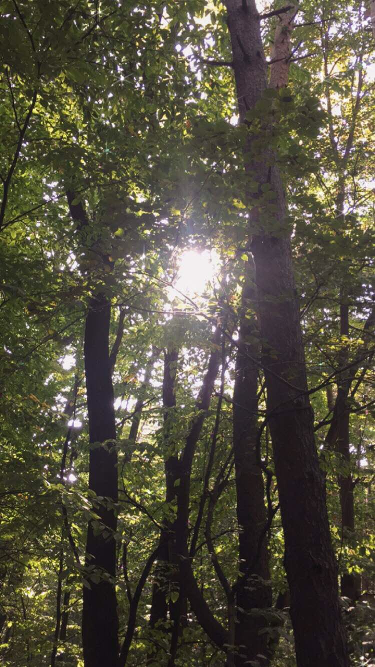 walking near me in Мемориал Славы in winter