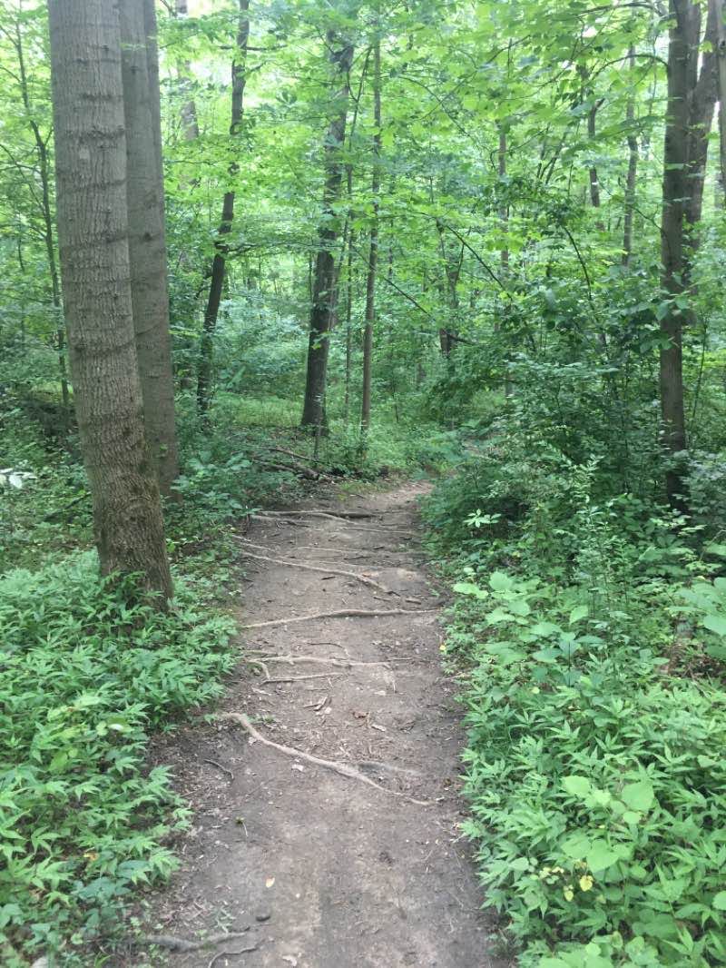 walking near me in Lake Roland in winter