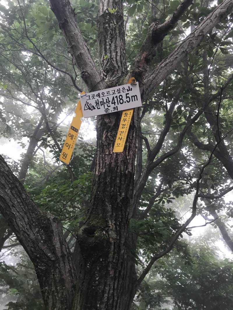 walking near me in 좌광천 생태학습체험 및 산책로 in winter