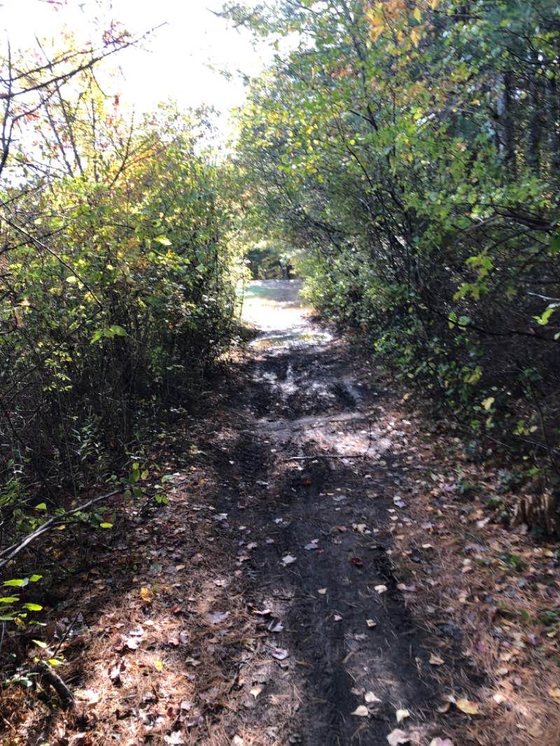 walking near me in West Meadows Wildlife Management Area in winter