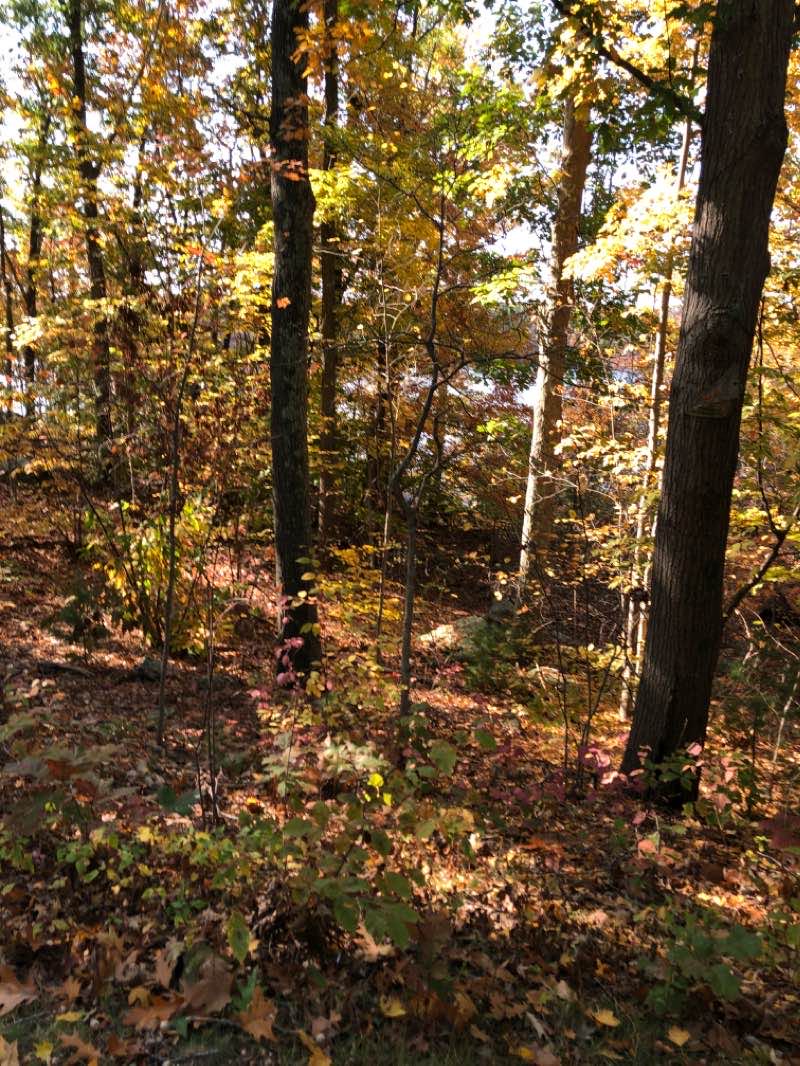 walking near me in D W Field Park in winter