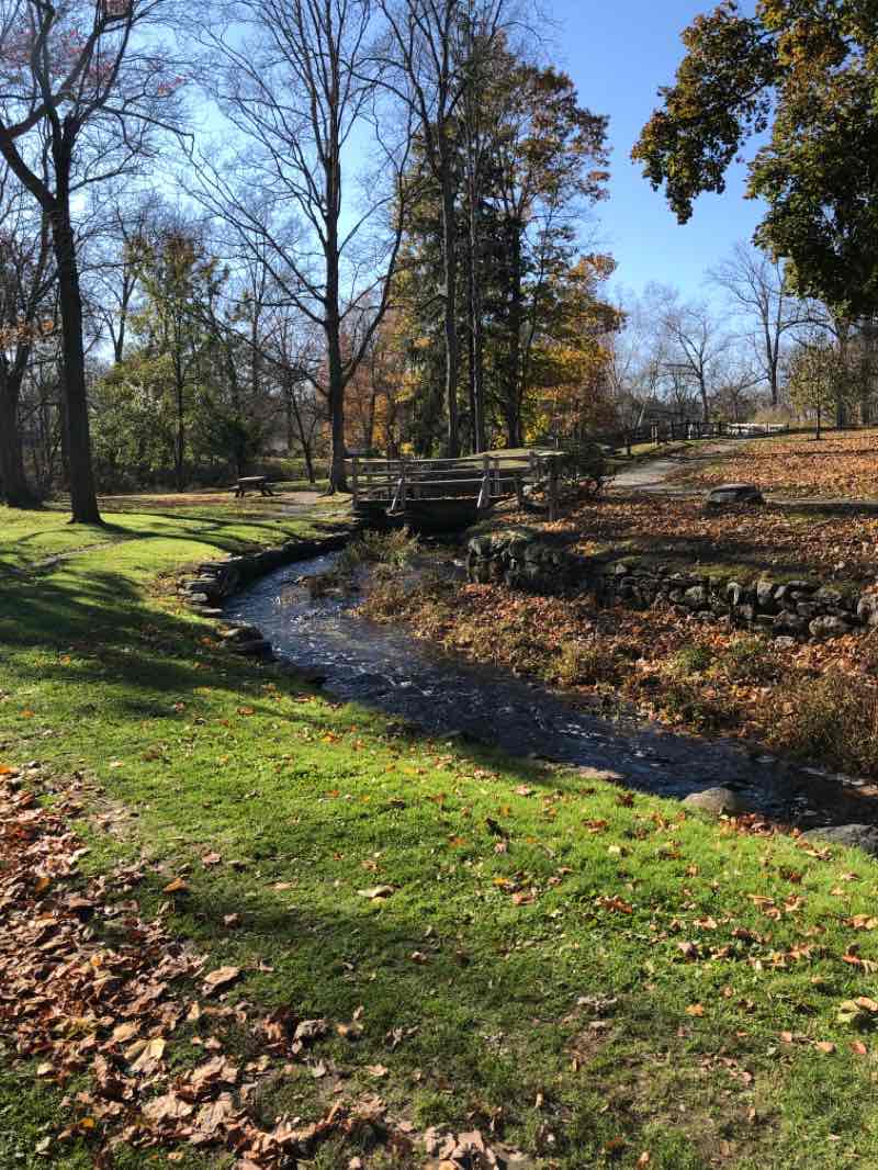 walking near me in War Memorial Park in winter