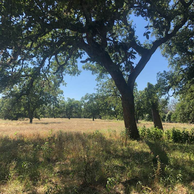 walking near me in Lyndon Baines Johnson State Historical Park in winter
