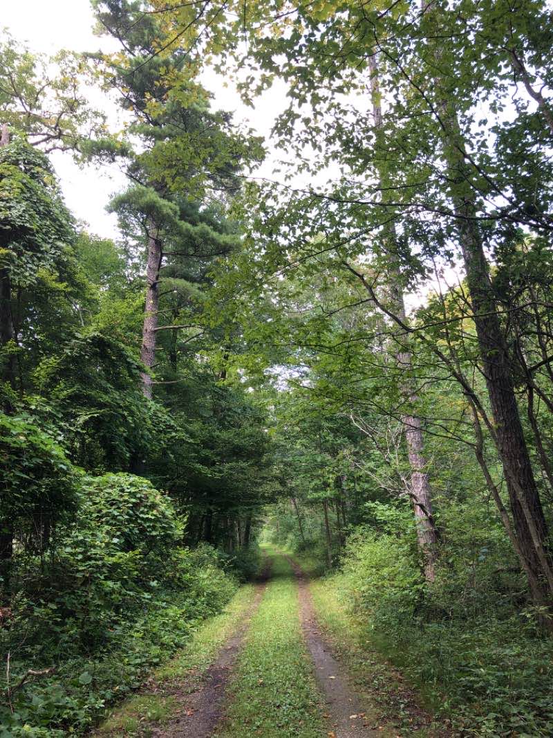 walking near me in Rondeau Provincial Park in winter