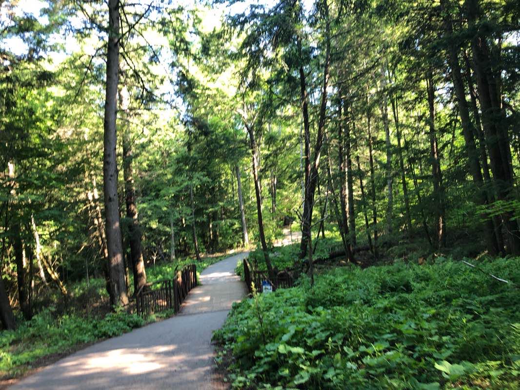 walking near me in Environmental Park in winter