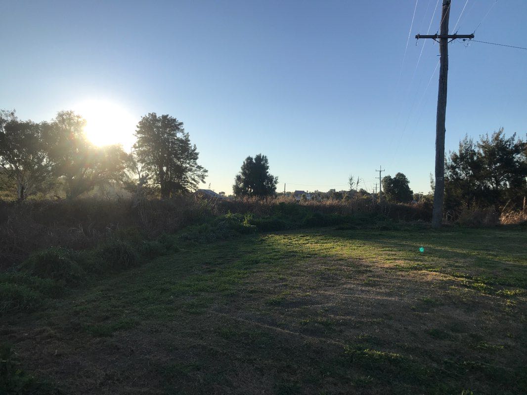 walking near me in Longfield Park in summer
