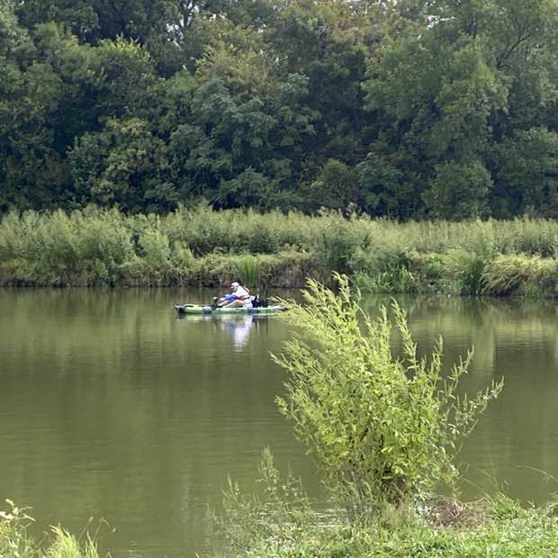 Collin County Pacers Hillary post image