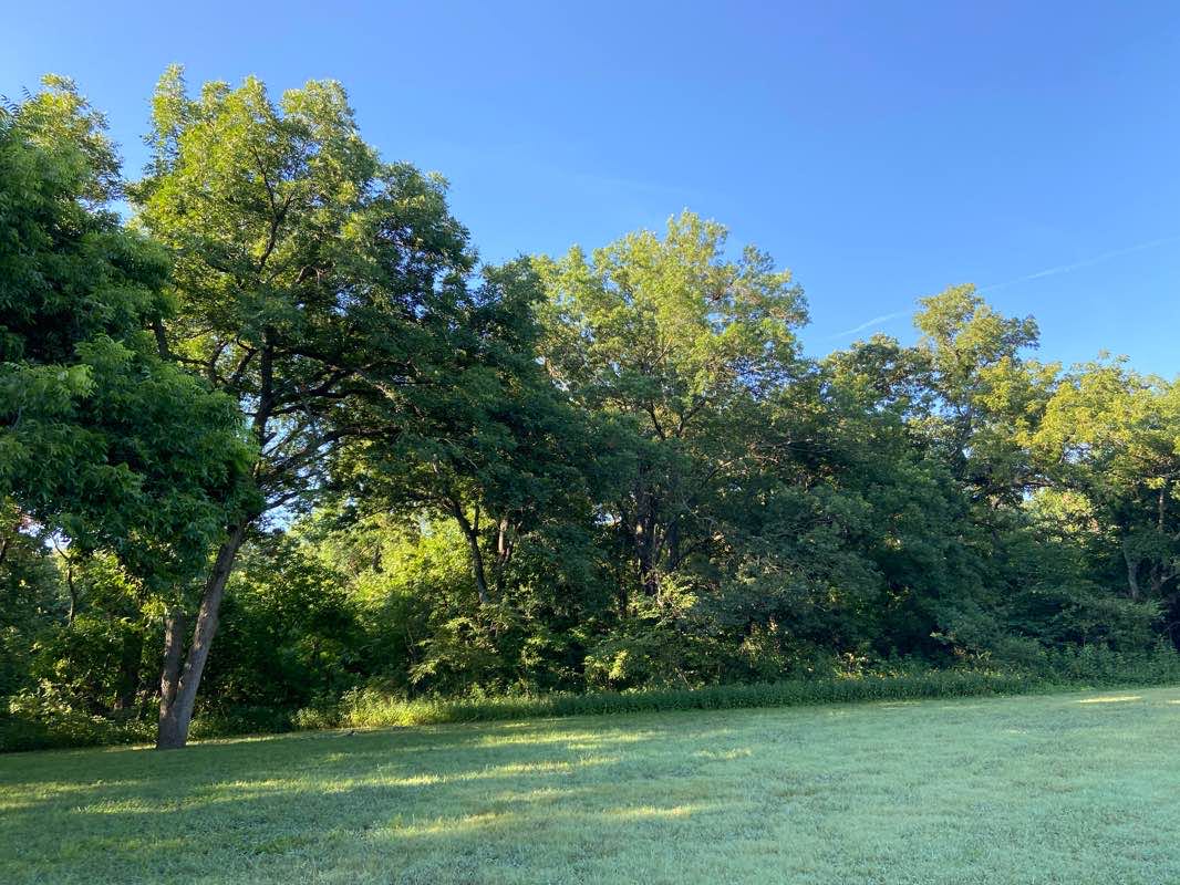 walking near me in Bob Woodruff Park (North) in winter