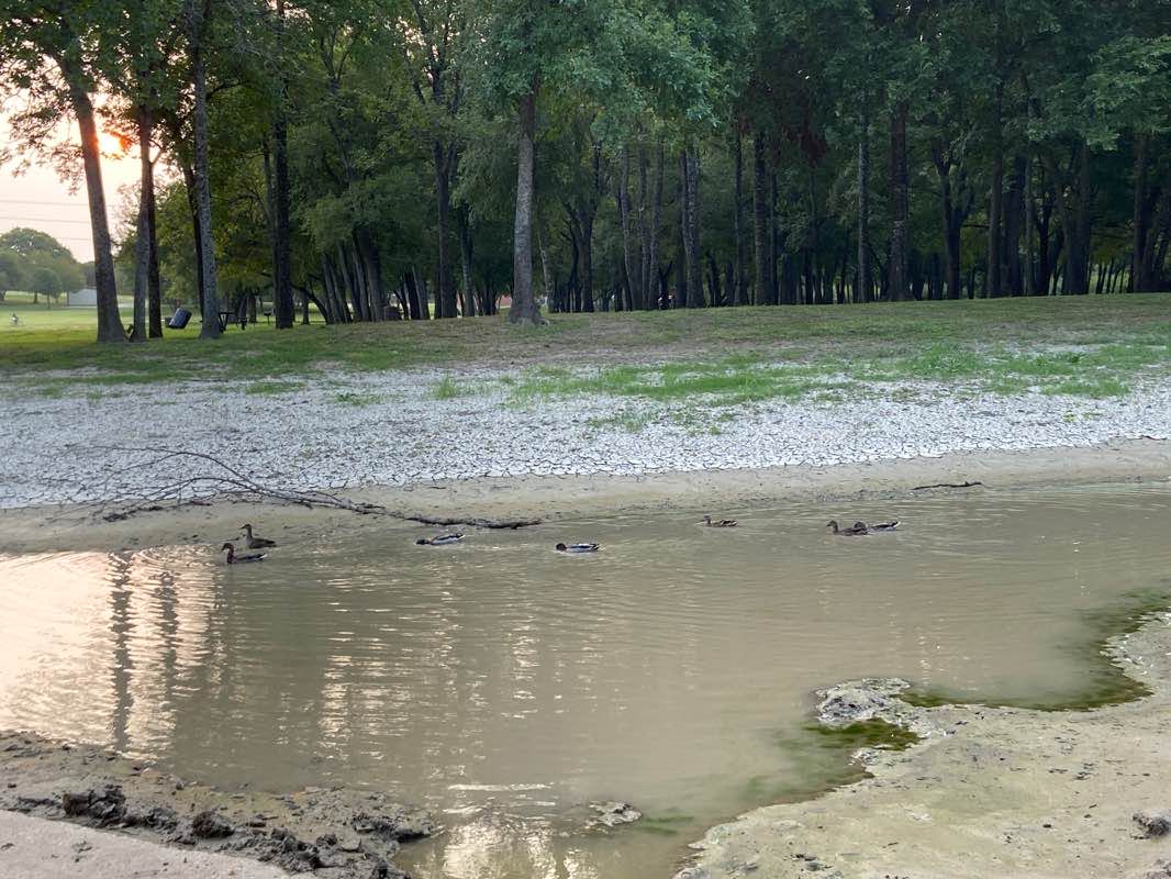 walking near me in Ruth Back Toler Park in winter