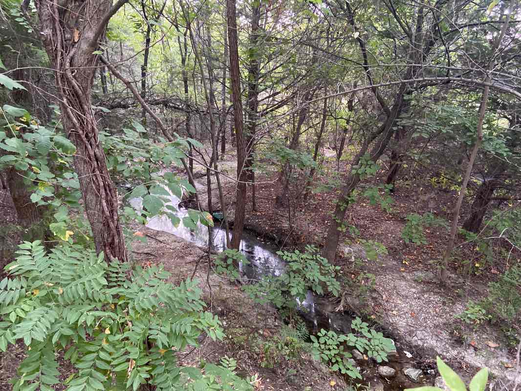 walking near me in Shores Park in winter