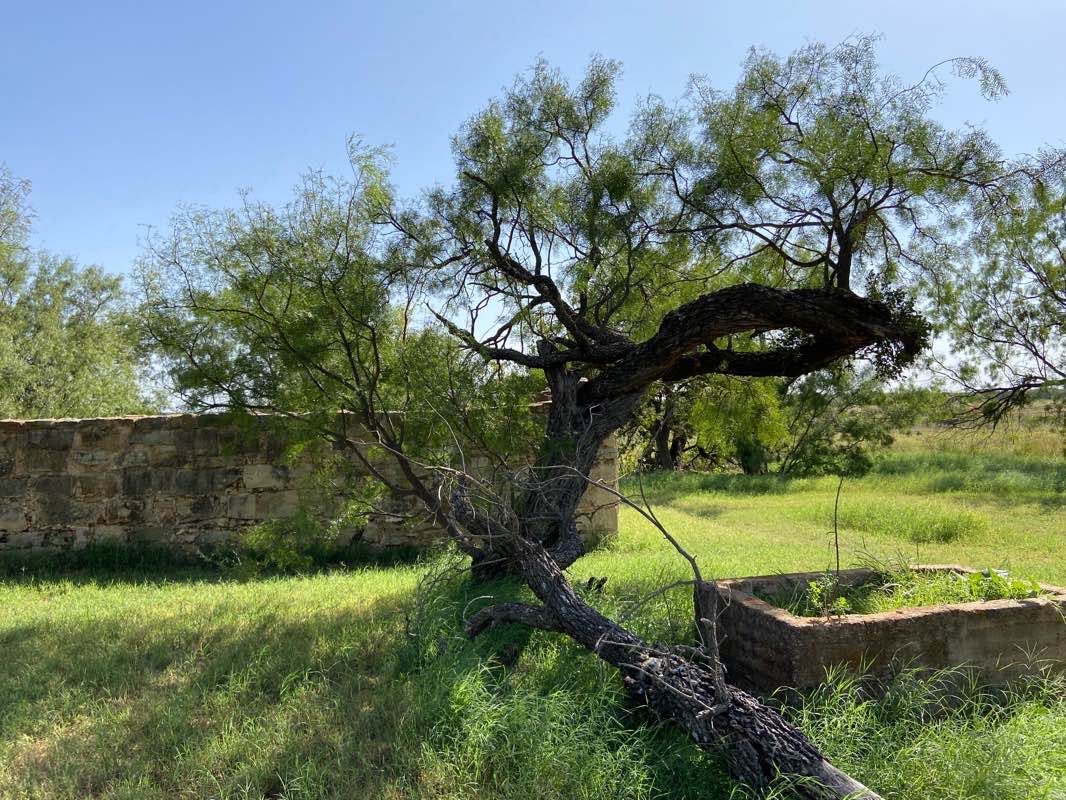 walking near me in Johnson Park in winter