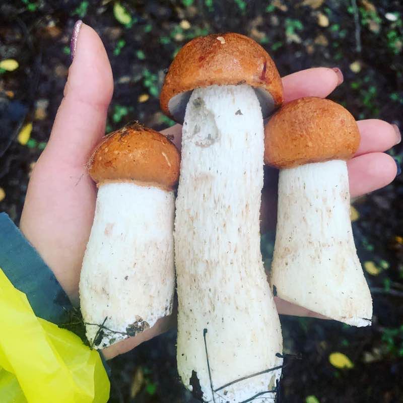 Екатерина post 2