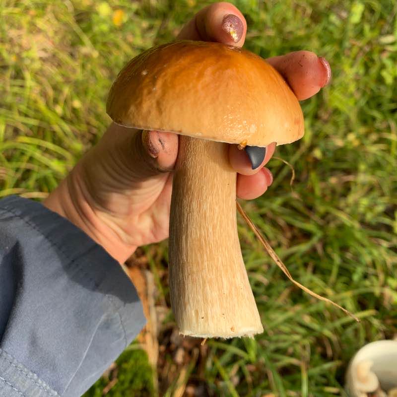 Екатерина post 3