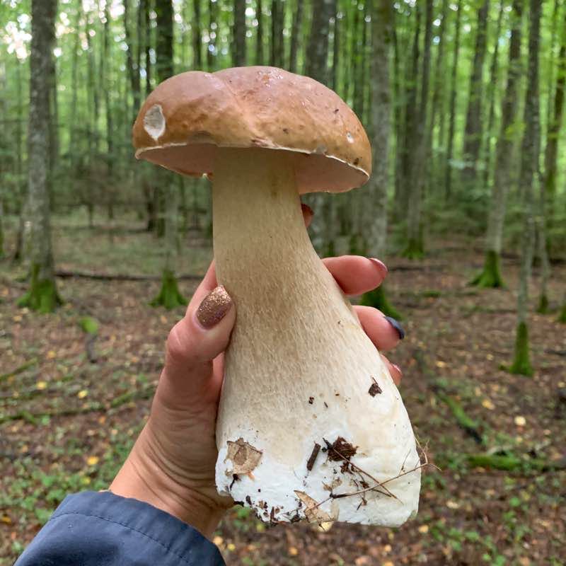 Екатерина post 2