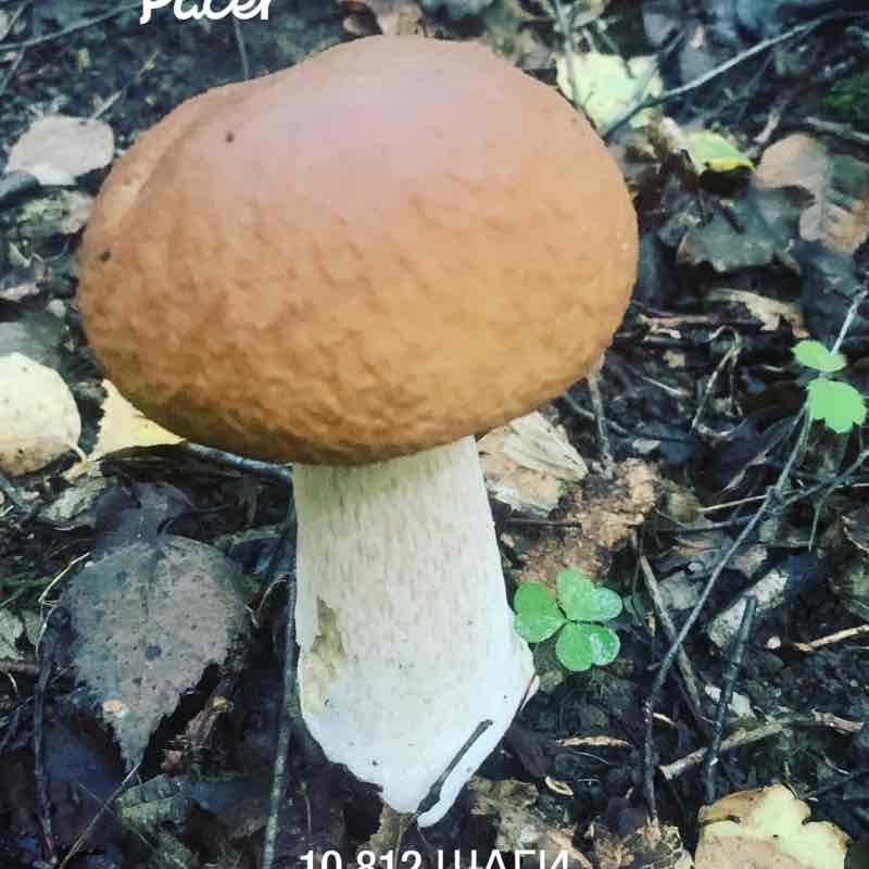 Екатерина post 1