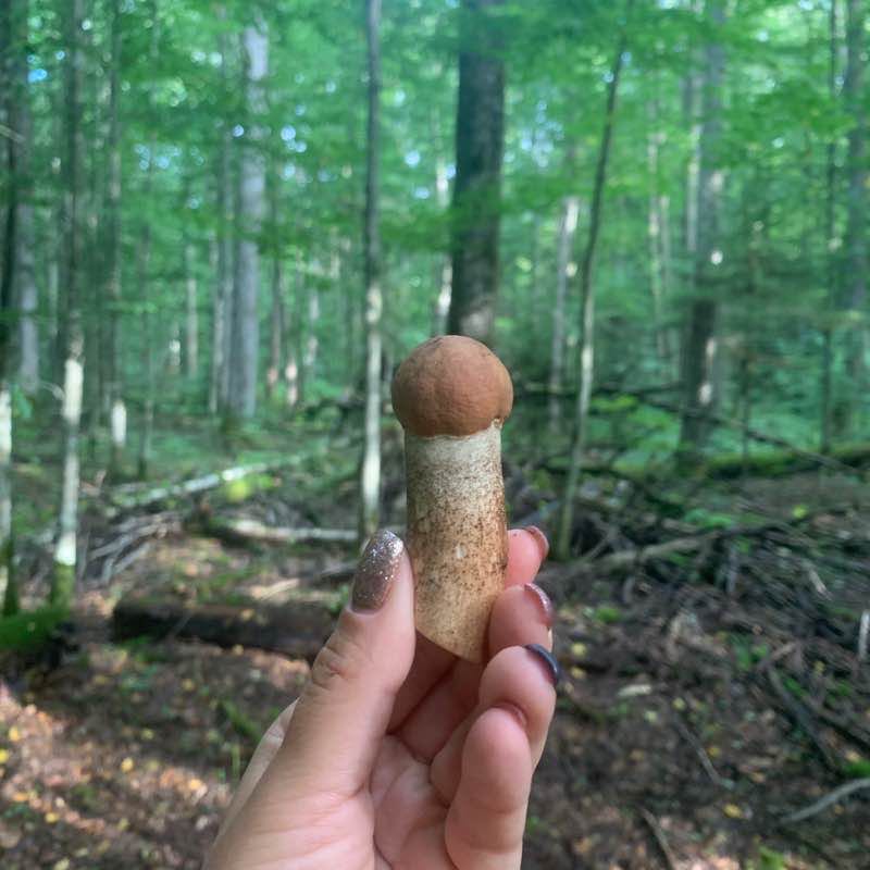 Екатерина post 3