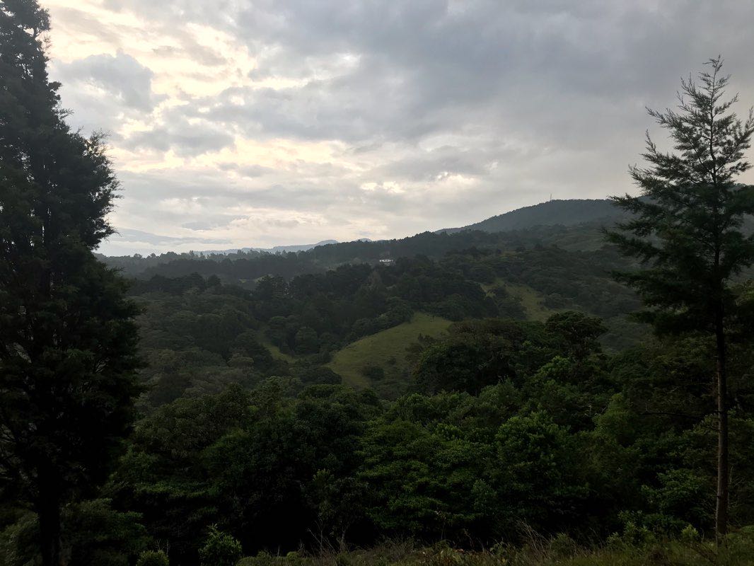 walking near me in Parque El Castillo in winter