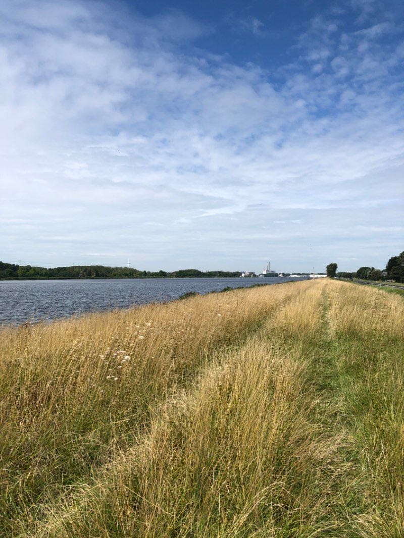 walking near me in Aagtenpark in winter