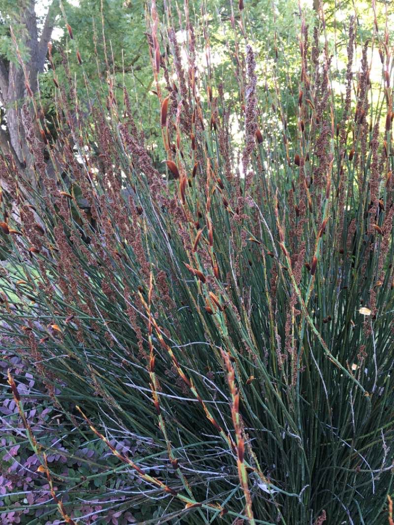 walking near me in Patriots Park in winter