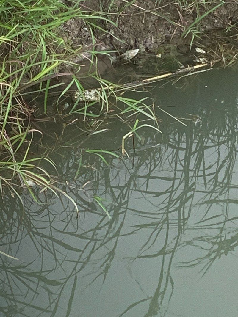 walking near me in Birdwell Park in winter