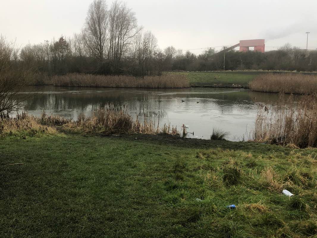 walking near me in Miners' Welfare Park in winter