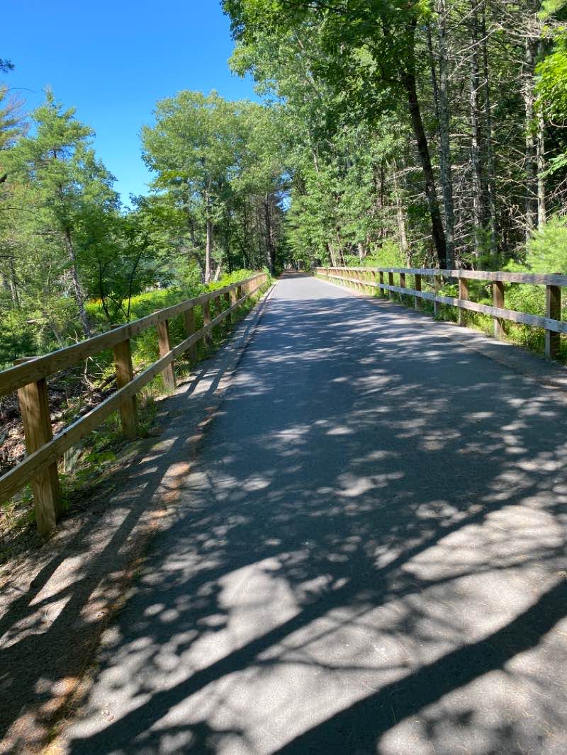 walking near me in Nara Park in winter