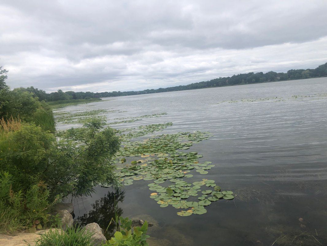 walking near me in Phalen Park in winter