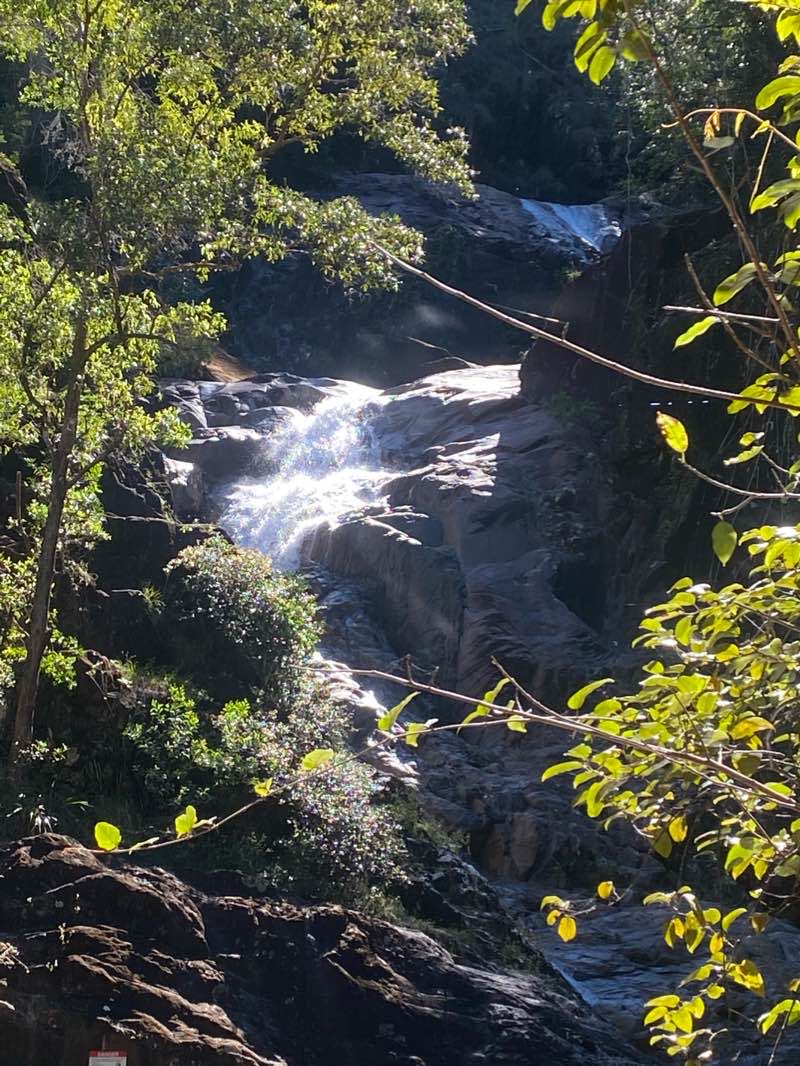 walking near me in Eungella National Park in summer