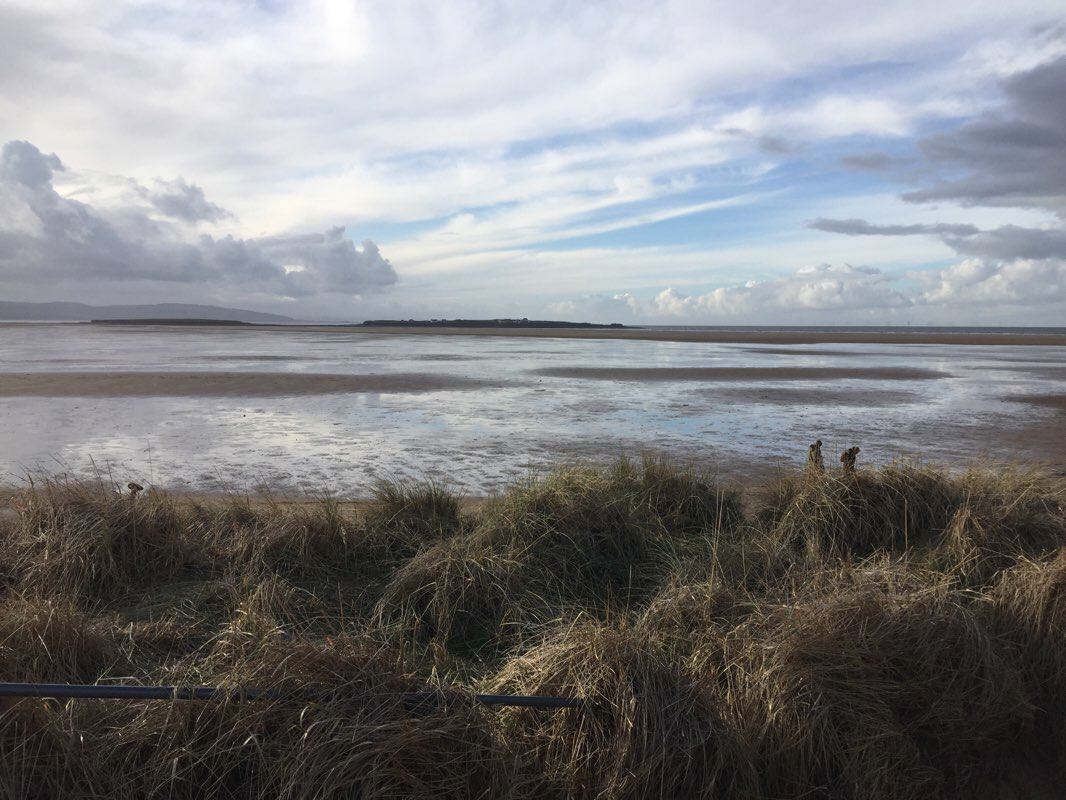 walking near me in Gilroy Nature Park in winter