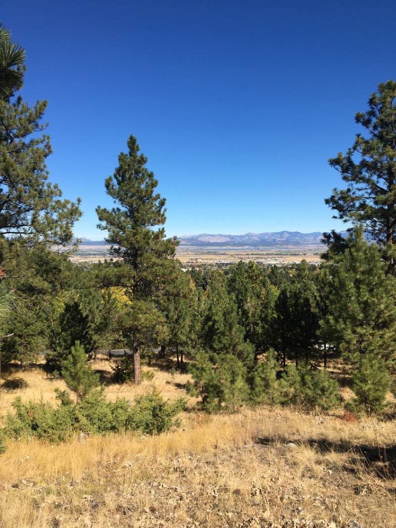 walking near me in Mount Ascension Park in winter