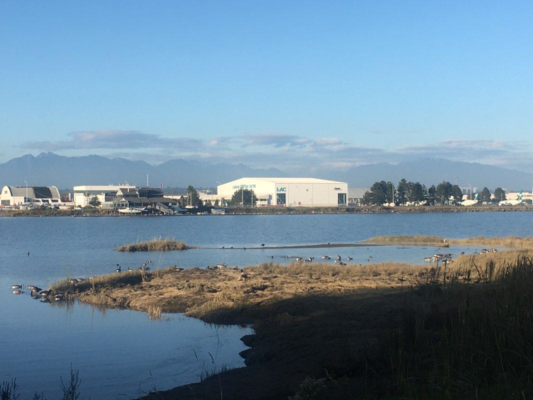 walking near me in McCallan Neighbourhood Park in winter