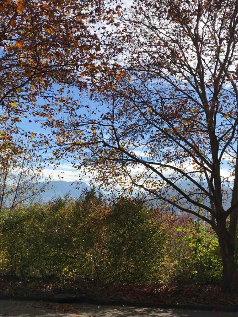 walking near me in Parc Gabriel Fauré in winter