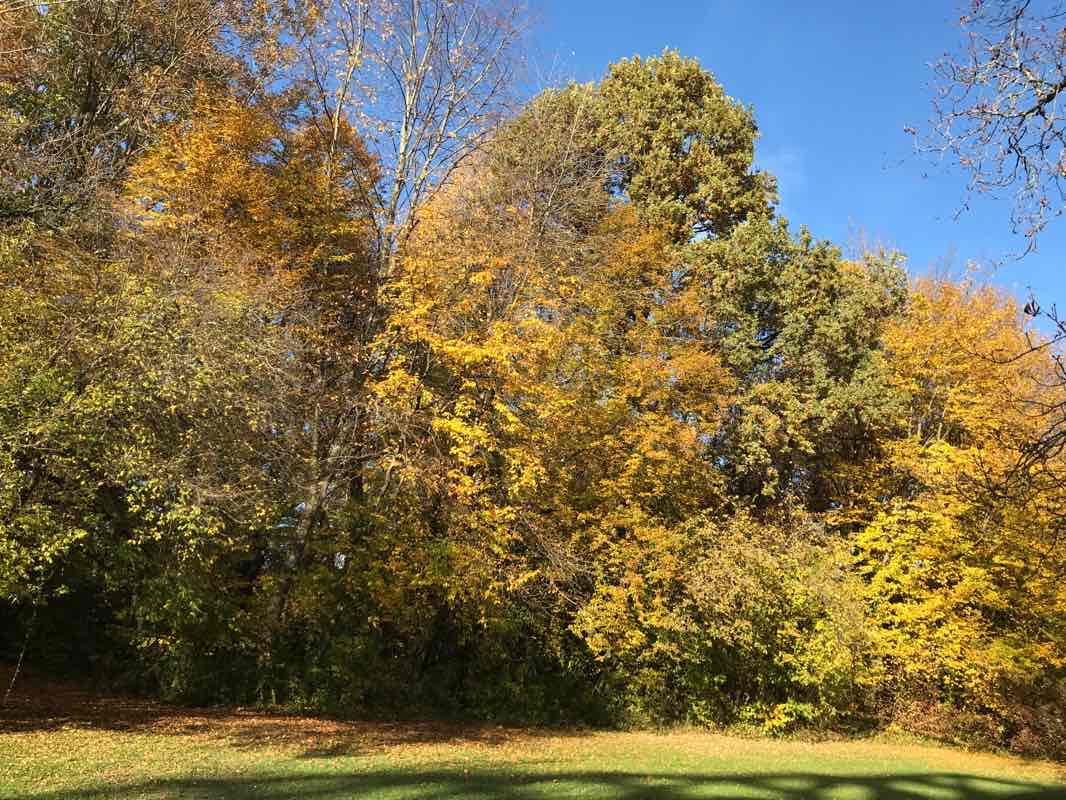 walking near me in Parc Vignières-Pommaries in winter