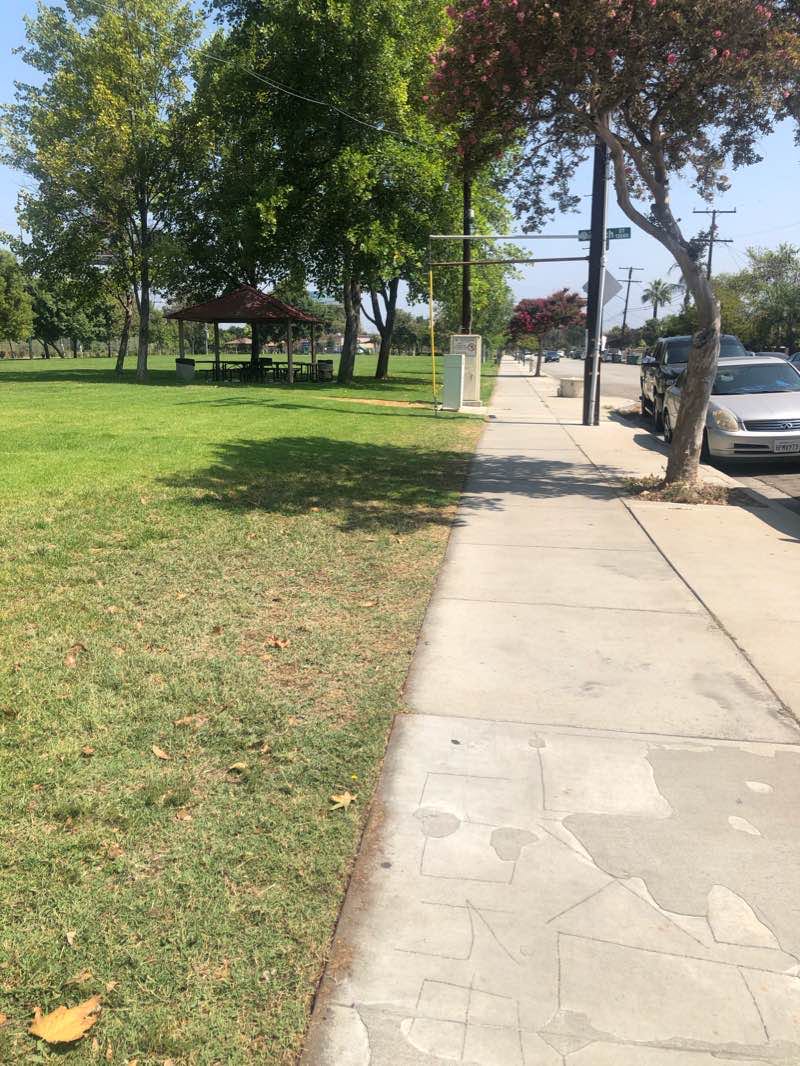 walking near me in Barnes Park in winter