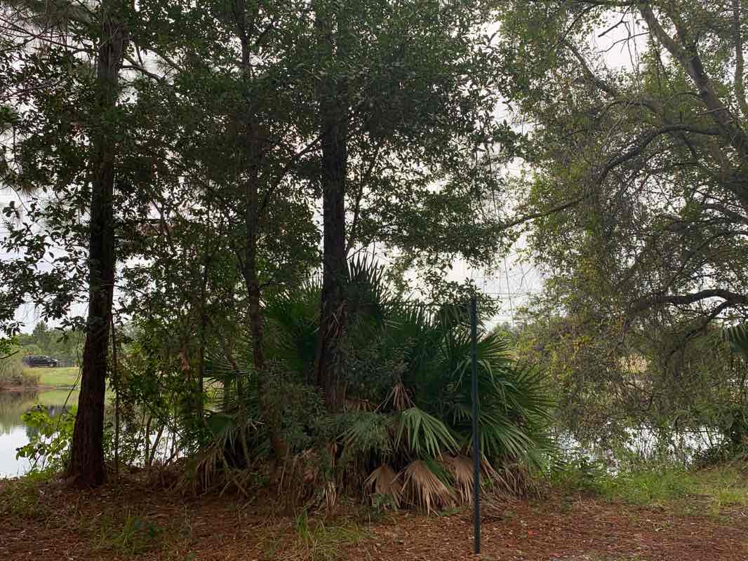 walking near me in Shadow Bay Park in winter