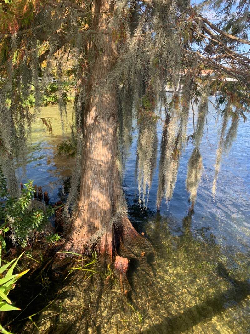 walking near me in Johnson Park in winter