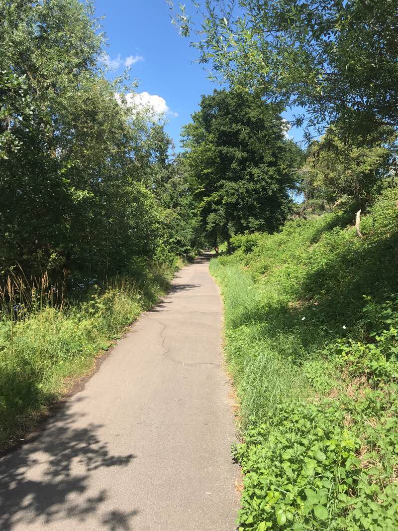 walking near me in Merkel'scher Park in winter