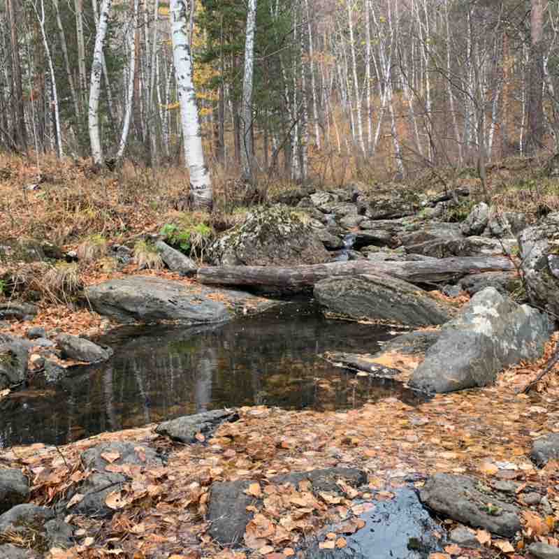 kudashkina_kseniya post 2