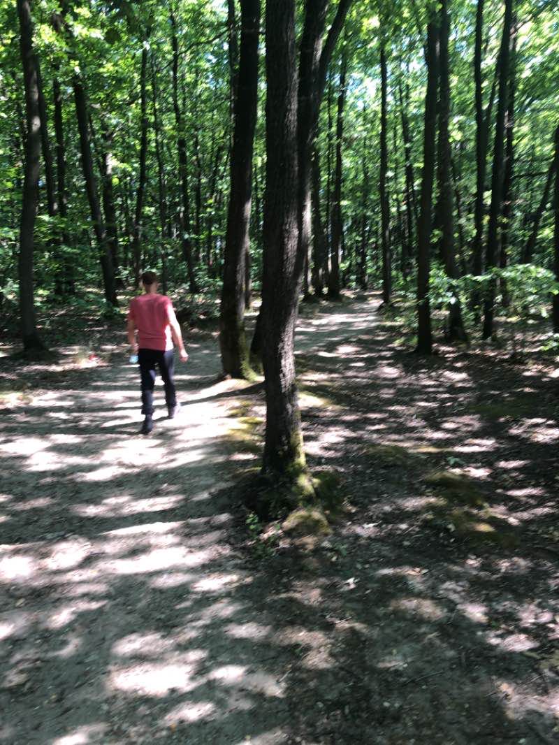 walking near me in Parc Nord in winter